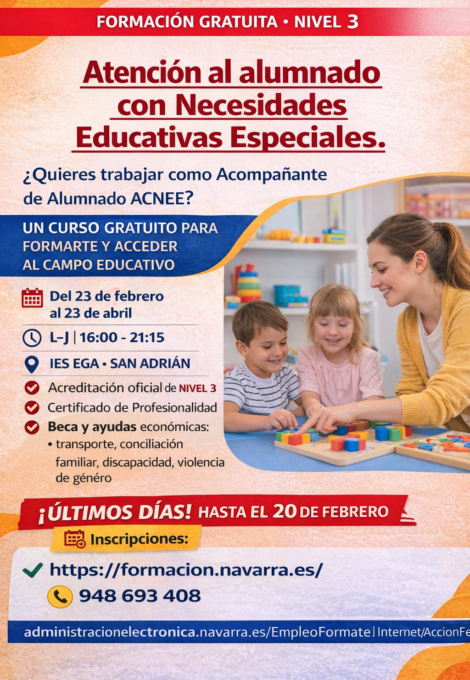Cartel Curso ACNEE